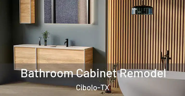 inner Bathroom imggen Bathroom Cabinet Remodel Cibolo-TX