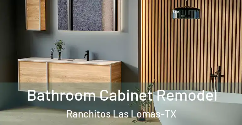 inner Bathroom imggen Bathroom Cabinet Remodel Ranchitos Las Lomas-TX