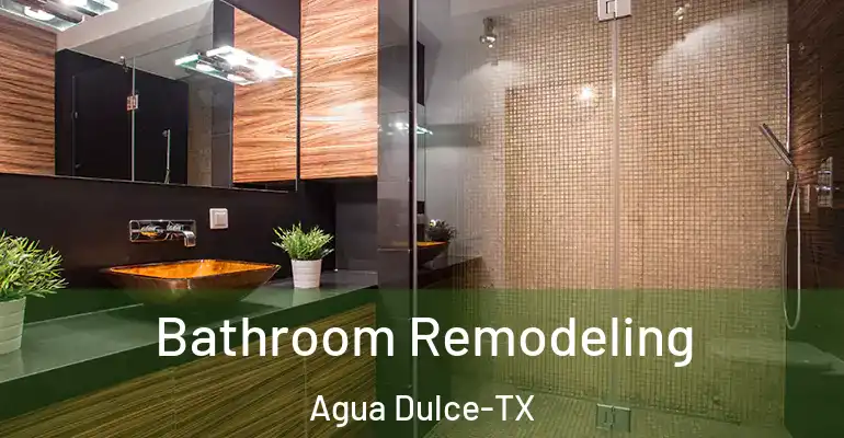 inner Bathroom imggen Bathroom Remodeling Agua Dulce-TX