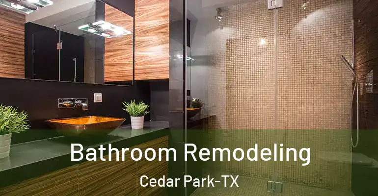 inner Bathroom imggen Bathroom Remodeling Cedar Park-TX