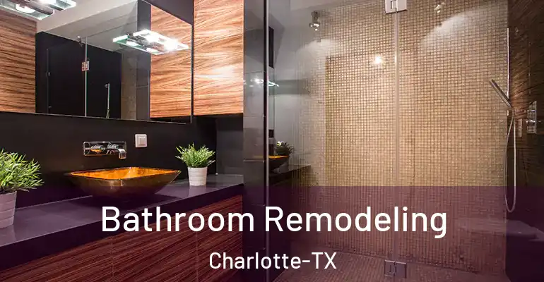 inner Bathroom imggen Bathroom Remodeling Charlotte-TX