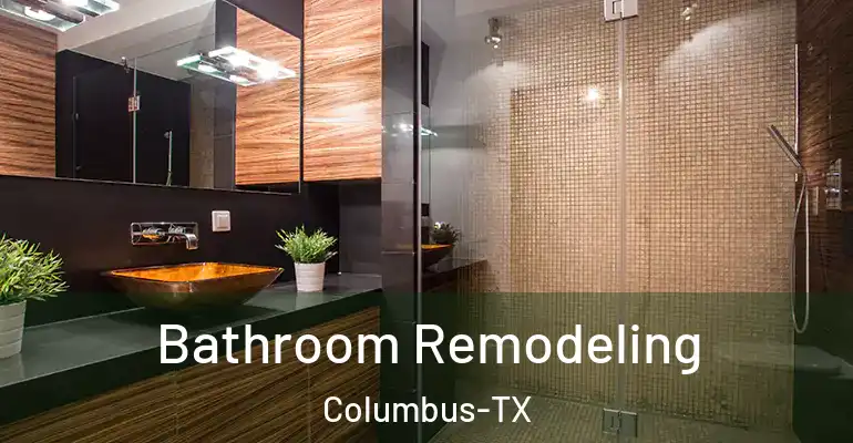 inner Bathroom imggen Bathroom Remodeling Columbus-TX