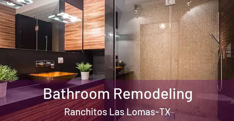 inner Bathroom imggen Bathroom Remodeling Ranchitos Las Lomas-TX