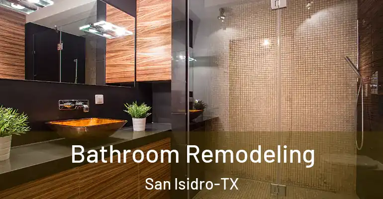 inner Bathroom imggen Bathroom Remodeling San Isidro-TX