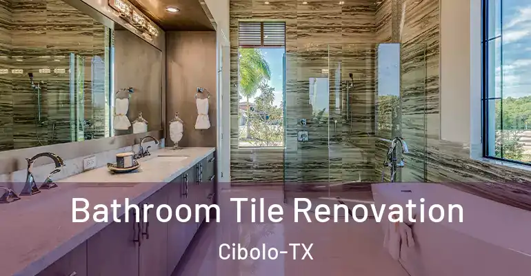 inner Bathroom imggen Bathroom Tile Renovation Cibolo-TX