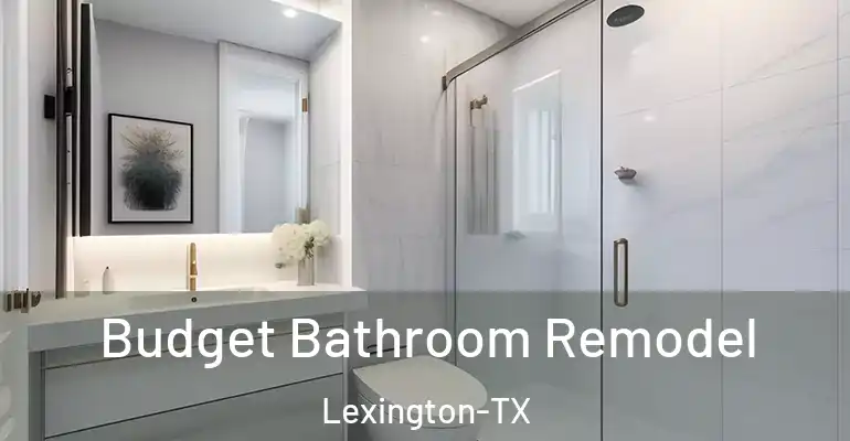 inner Bathroom imggen Budget Bathroom Remodel Lexington-TX
