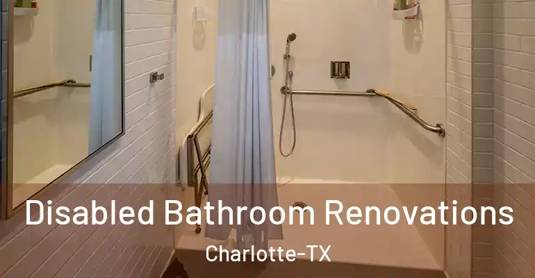 inner Bathroom imggen Disabled Bathroom Renovations Charlotte-TX