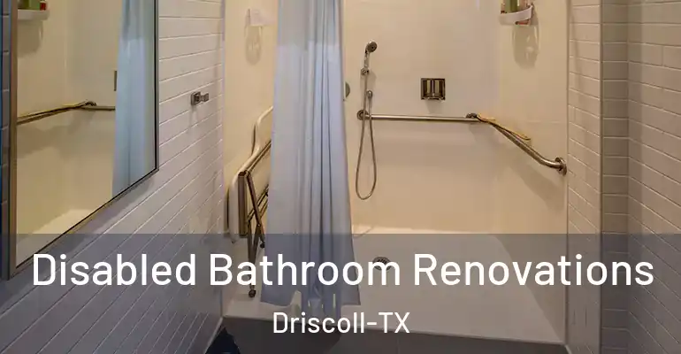 inner Bathroom imggen Disabled Bathroom Renovations Driscoll-TX