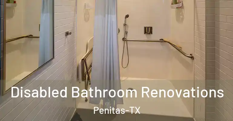 inner Bathroom imggen Disabled Bathroom Renovations Penitas-TX