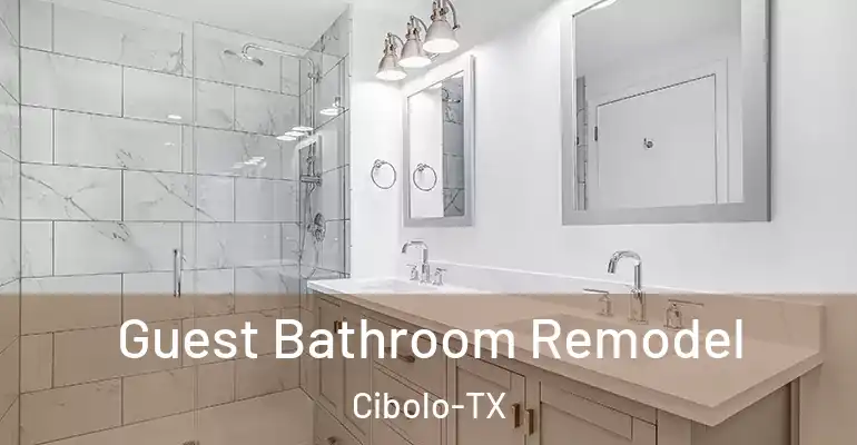 inner Bathroom imggen Guest Bathroom Remodel Cibolo-TX