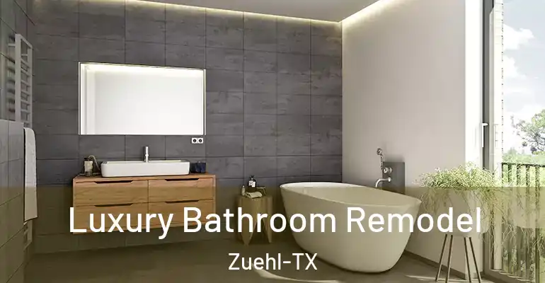 inner Bathroom imggen Luxury Bathroom Remodel Zuehl-TX