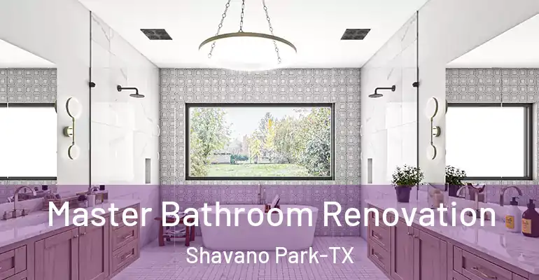 inner Bathroom imggen Master Bathroom Renovation Shavano Park-TX