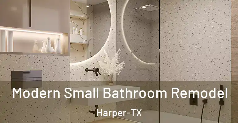 inner Bathroom imggen Modern Small Bathroom Remodel Harper-TX