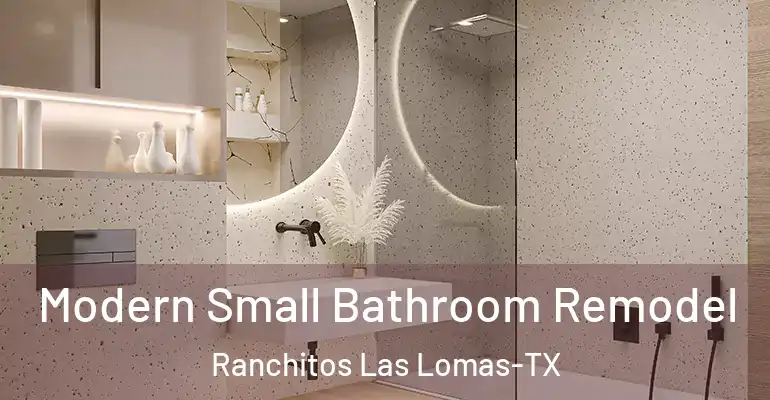inner Bathroom imggen Modern Small Bathroom Remodel Ranchitos Las Lomas-TX