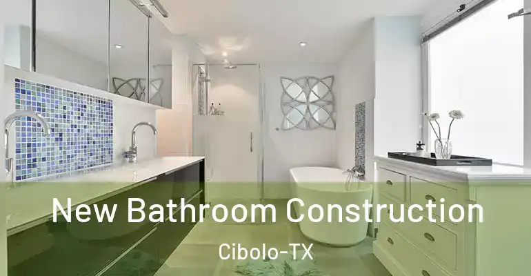 inner Bathroom imggen New Bathroom Construction Cibolo-TX