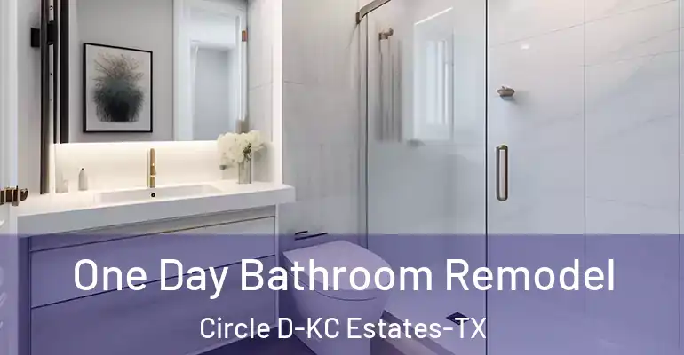 inner Bathroom imggen One Day Bathroom Remodel Circle D-KC Estates-TX