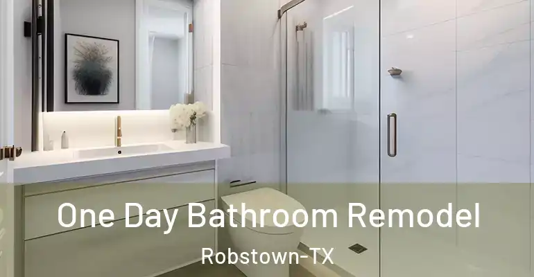 inner Bathroom imggen One Day Bathroom Remodel Robstown-TX