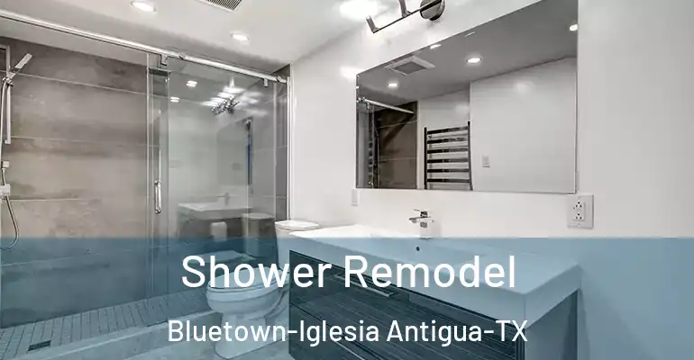 inner Bathroom imggen Shower Remodel Bluetown-Iglesia Antigua-TX