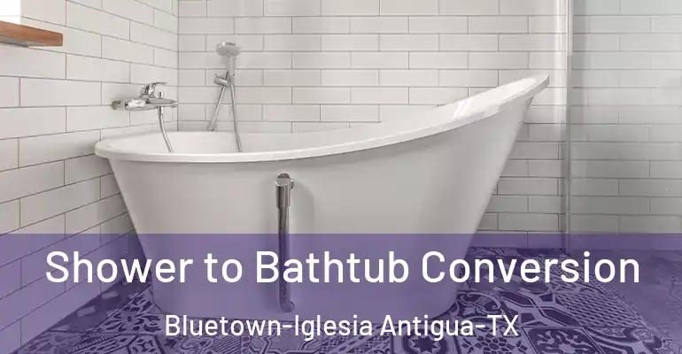 inner Bathroom imggen Shower to Bathtub Conversion Bluetown-Iglesia Antigua-TX