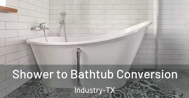 inner Bathroom imggen Shower to Bathtub Conversion Industry-TX