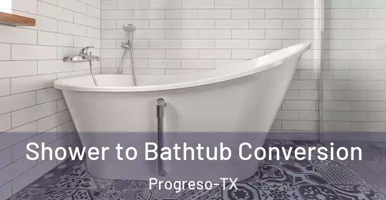inner Bathroom imggen Shower to Bathtub Conversion Progreso-TX