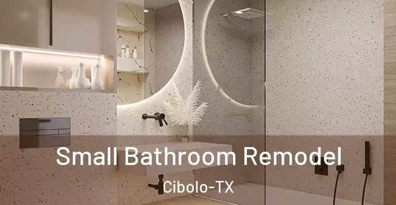 inner Bathroom imggen Small Bathroom Remodel Cibolo-TX