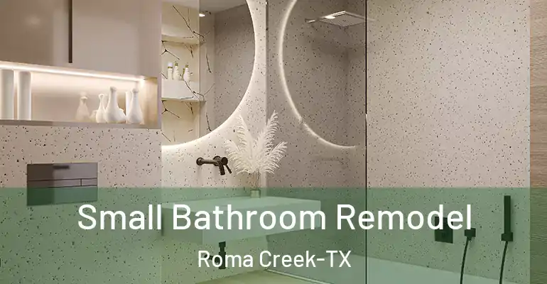 inner Bathroom imggen Small Bathroom Remodel Roma Creek-TX