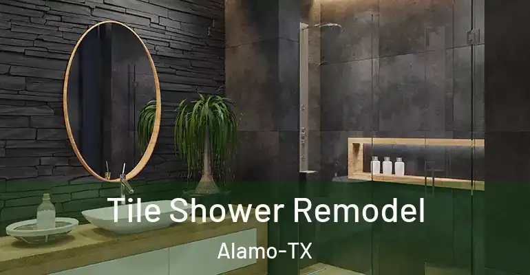 inner Bathroom imggen Tile Shower Remodel Alamo-TX