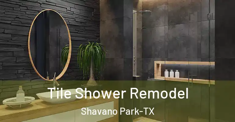 inner Bathroom imggen Tile Shower Remodel Shavano Park-TX