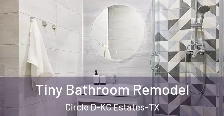 inner Bathroom imggen Tiny Bathroom Remodel Circle D-KC Estates-TX