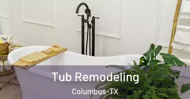 inner Bathroom imggen Tub Remodeling Columbus-TX