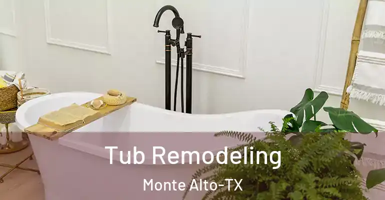 inner Bathroom imggen Tub Remodeling Monte Alto-TX