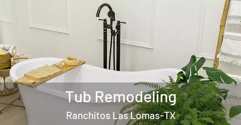 inner Bathroom imggen Tub Remodeling Ranchitos Las Lomas-TX