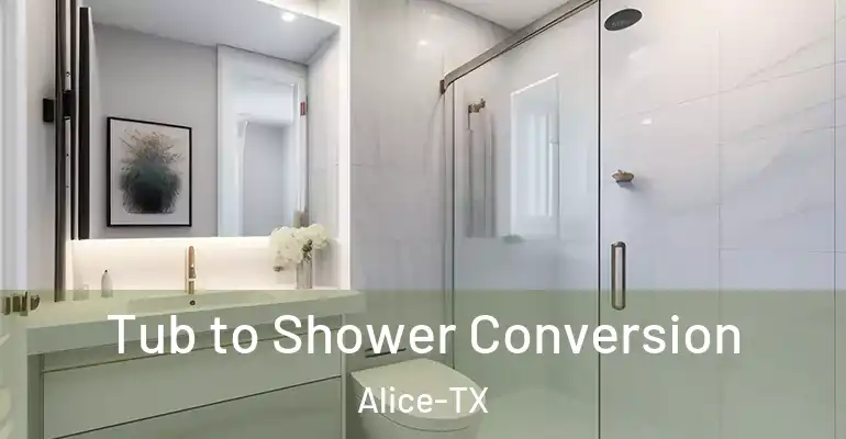inner Bathroom imggen Tub to Shower Conversion Alice-TX