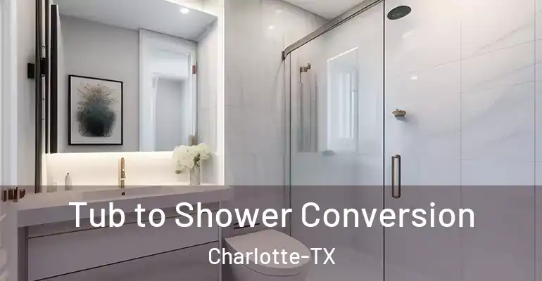 inner Bathroom imggen Tub to Shower Conversion Charlotte-TX