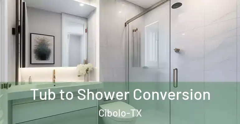 inner Bathroom imggen Tub to Shower Conversion Cibolo-TX