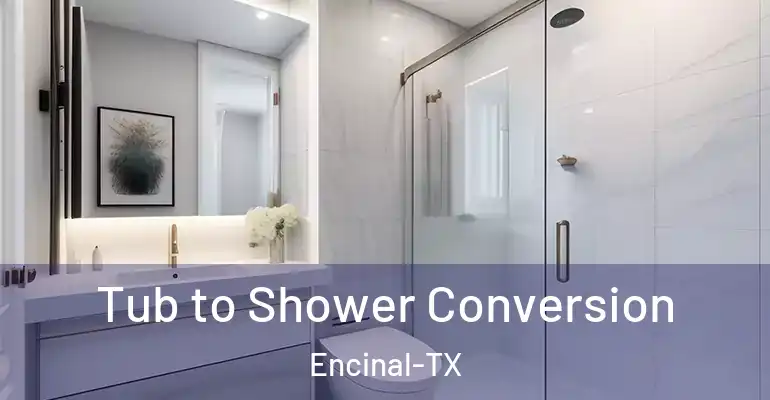 inner Bathroom imggen Tub to Shower Conversion Encinal-TX