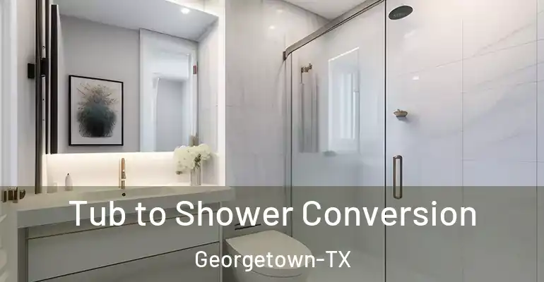 inner Bathroom imggen Tub to Shower Conversion Georgetown-TX