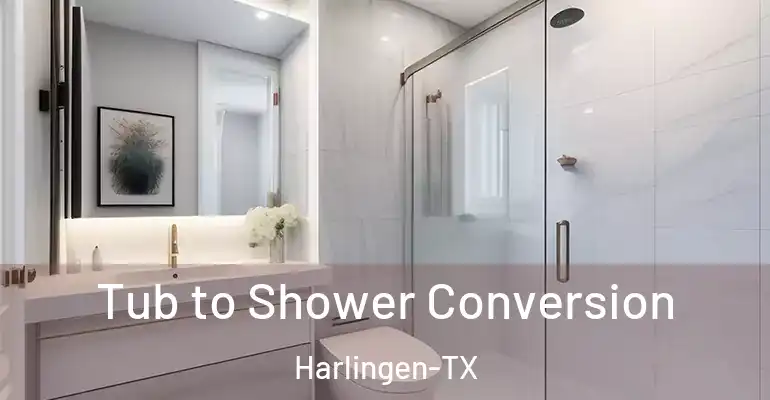 inner Bathroom imggen Tub to Shower Conversion Harlingen-TX