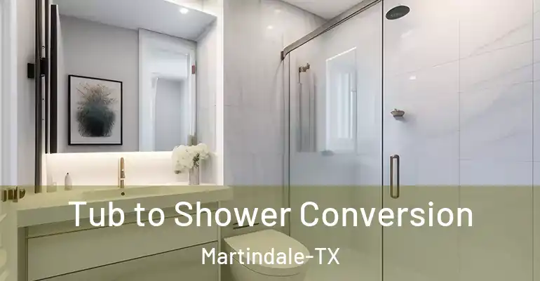 inner Bathroom imggen Tub to Shower Conversion Martindale-TX
