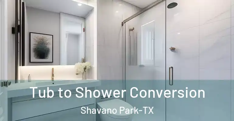 inner Bathroom imggen Tub to Shower Conversion Shavano Park-TX