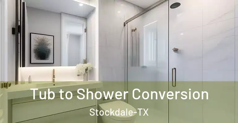 inner Bathroom imggen Tub to Shower Conversion Stockdale-TX