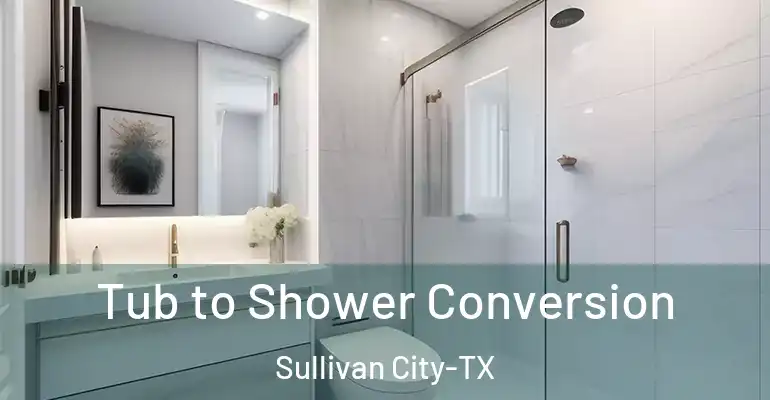 inner Bathroom imggen Tub to Shower Conversion Sullivan City-TX