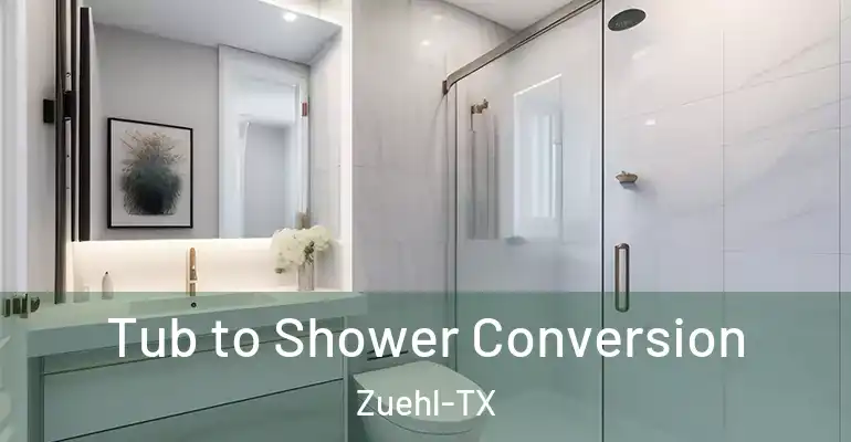 inner Bathroom imggen Tub to Shower Conversion Zuehl-TX