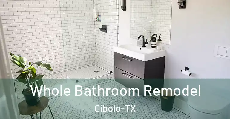 inner Bathroom imggen Whole Bathroom Remodel Cibolo-TX