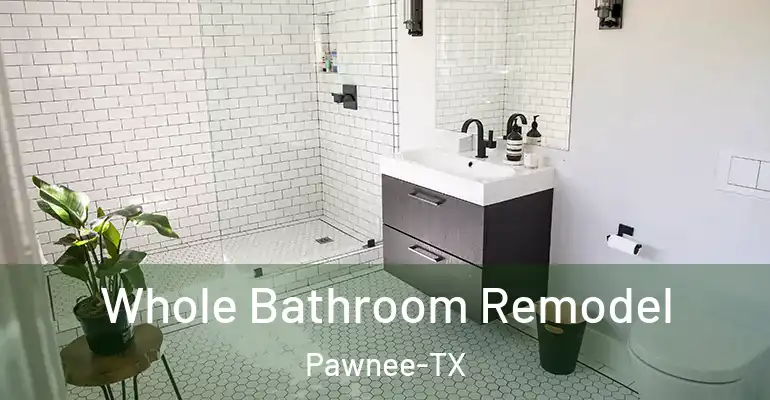 inner Bathroom imggen Whole Bathroom Remodel Pawnee-TX