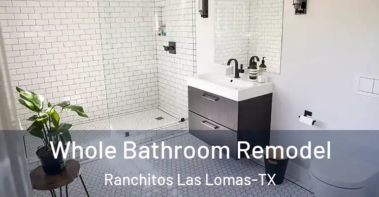 inner Bathroom imggen Whole Bathroom Remodel Ranchitos Las Lomas-TX